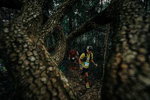 BIB: 
                            <button type="button" onclick="openModal(25679702)" class="btn btn-primary btn-sm float-right btn-popup" data-toggle="modal" data-target=".modal-high-quality">
                        <i class="fas fa-shopping-cart"></i> Add to Cart
                    </button>
                                            <button type="button" onclick="isThisMe(25679702, true)" class="btn btn-success btn-sm float-right btn-popup btn-isme hidden" data-toggle="tooltip" data-placement="bottom" title="นี่คือรูปของคุณใช่ไหม คลิกที่นี่เพื่อเอาเข้าอัลบั้ม">
                        <i class="fas fa-plus"></i> Add to album
                    </button>
                    <button type="button" onclick="isThisMe(25679702, false)" class="btn btn-warning btn-sm float-right btn-popup btn-isnotme hidden">
                        <i class="fas fa-ban"></i> Remove from album
                    </button>